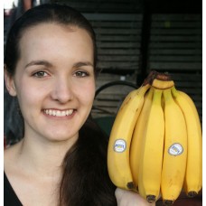 BANANAS Bunch Of 5 From Ecuador